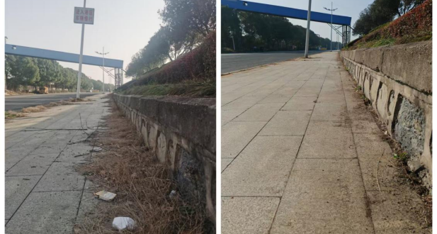 常德交通水运部门开展节前卫生活动，携手企业共迎新春